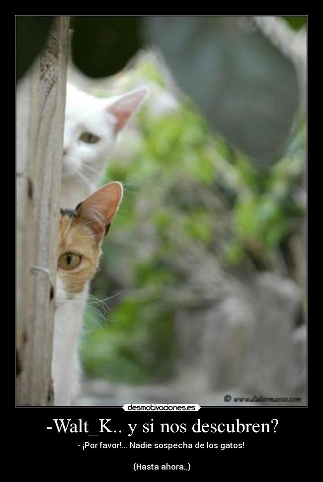 -Walt_K.. y si nos descubren? - 