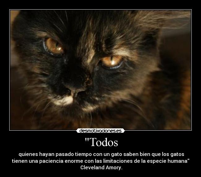 Todos - 