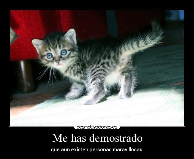 Me has demostrado -