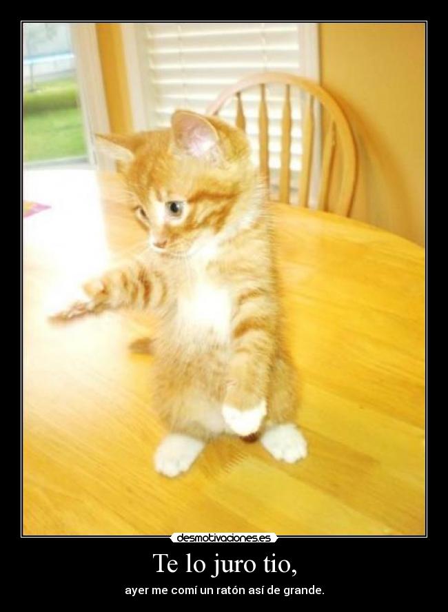 Te lo juro tio, -