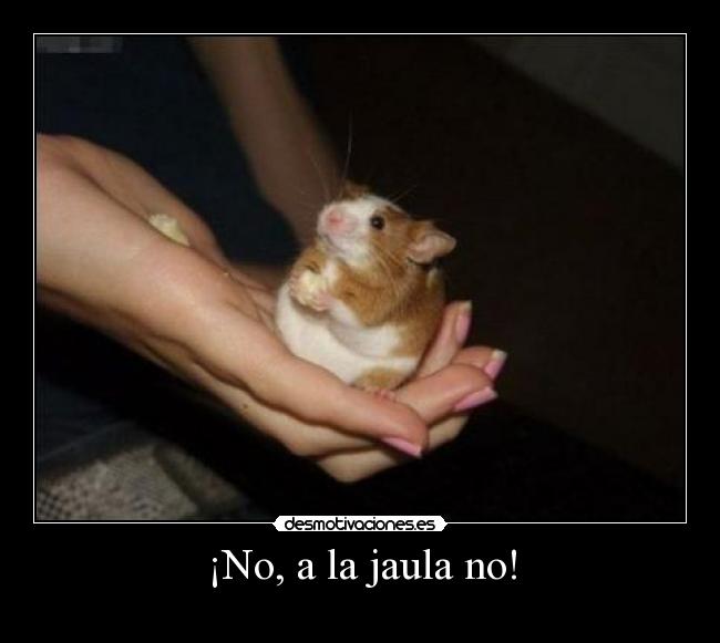 ¡No, a la jaula no! - 