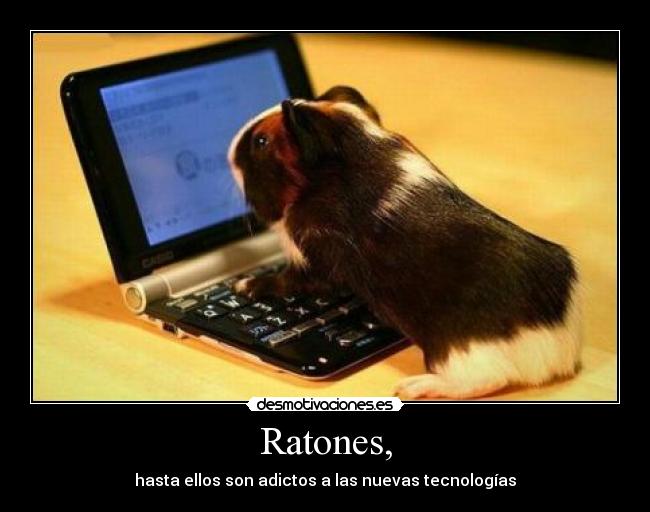 Ratones, -