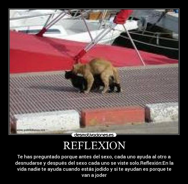 REFLEXION - 