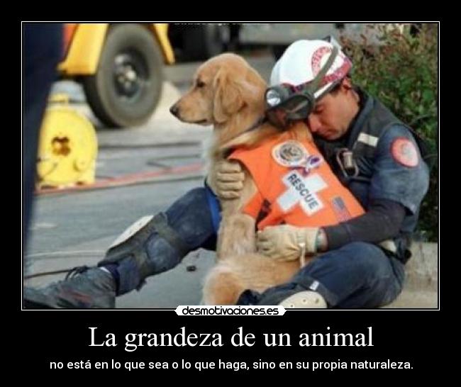 La grandeza de un animal - 