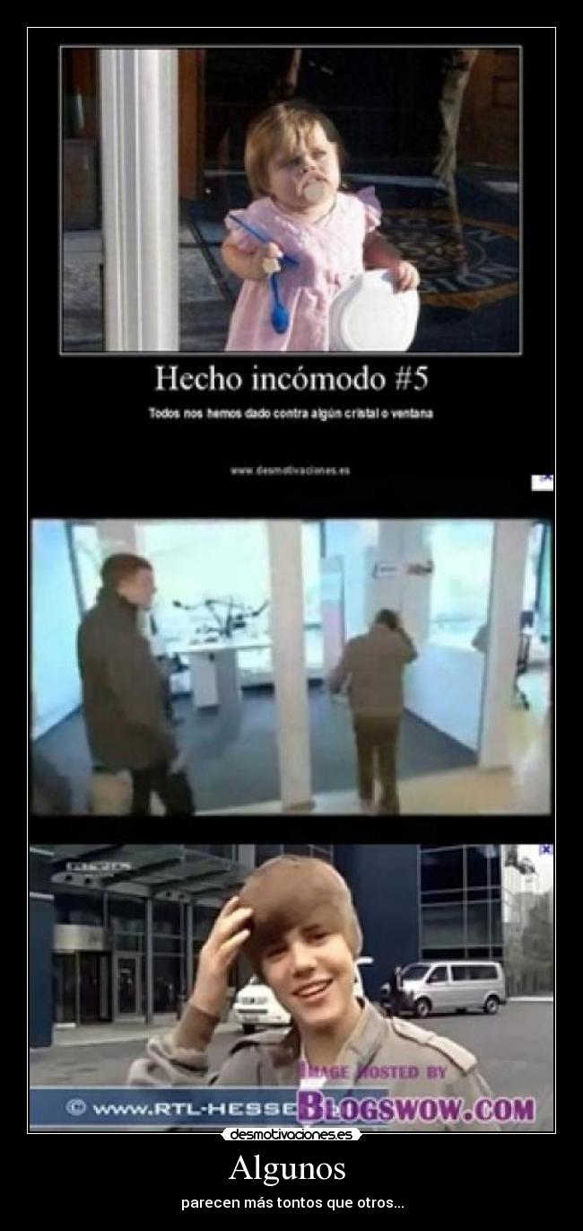 Algunos - parecen más tontos que otros...