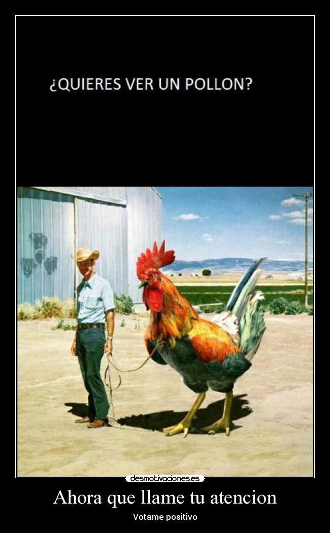 Ahora que llame tu atencion -