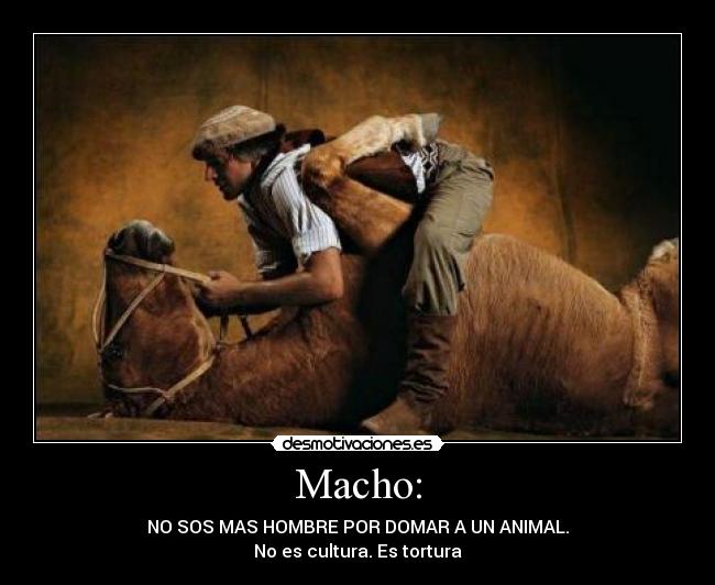 Macho: -