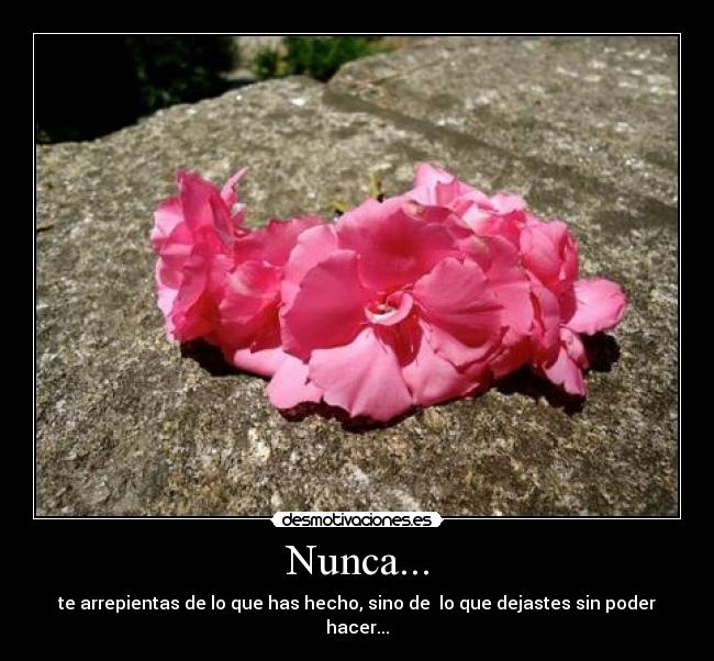 Nunca... - 