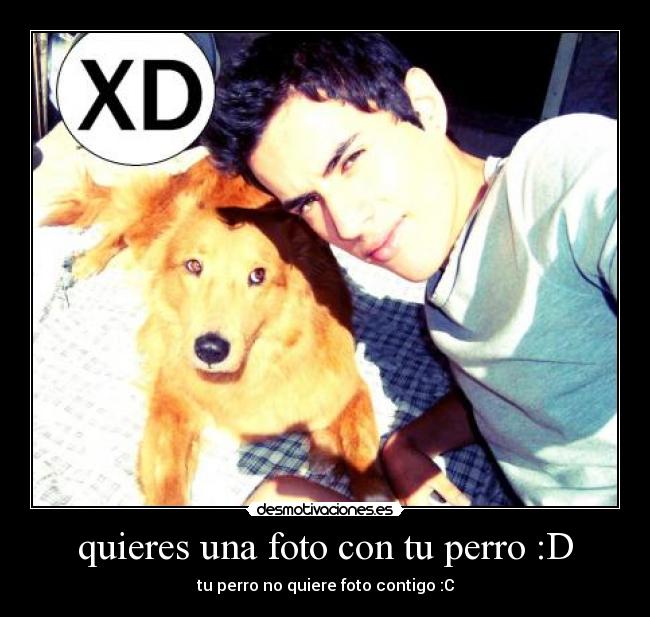 quieres una foto con tu perro :D - 