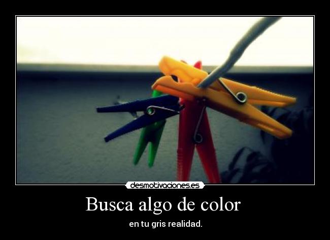 Busca algo de color  - en tu gris realidad.