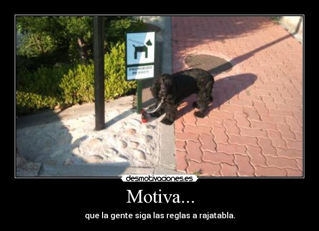 Motiva... - que la gente siga las reglas a rajatabla.