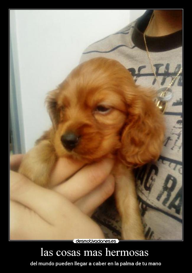 las cosas mas hermosas -