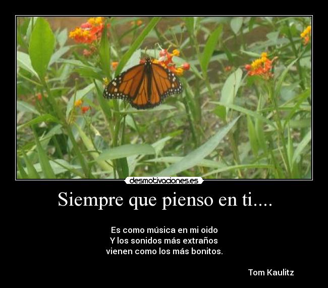 Siempre que pienso en ti.... - 