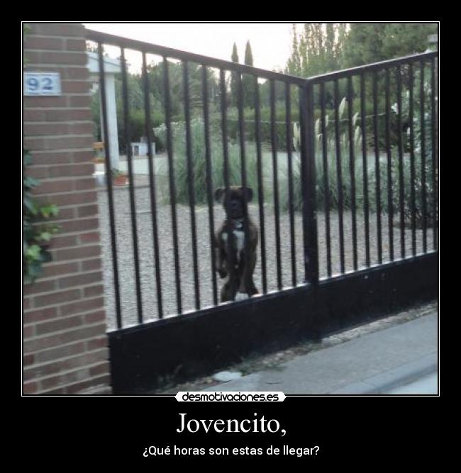 Jovencito, - ¿Qué horas son estas de llegar?