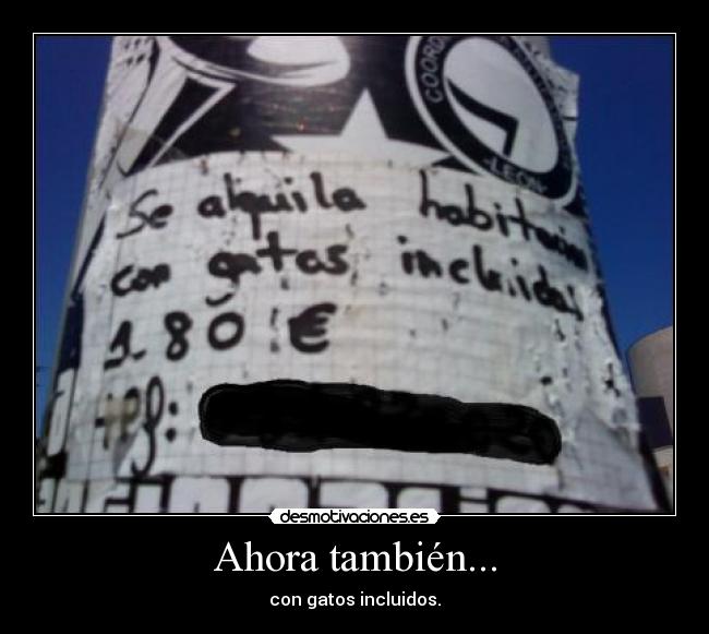 Ahora también... - con gatos incluidos.