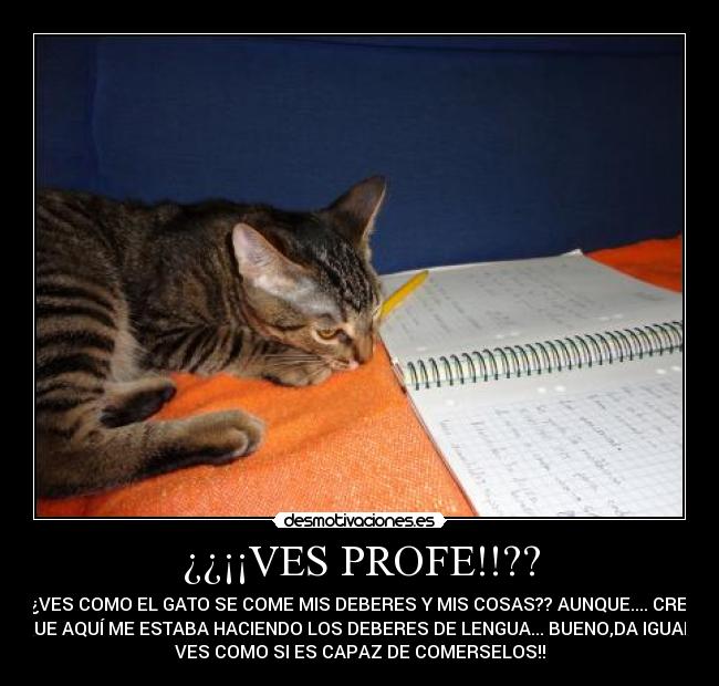¿¿¡¡VES PROFE!!?? - 