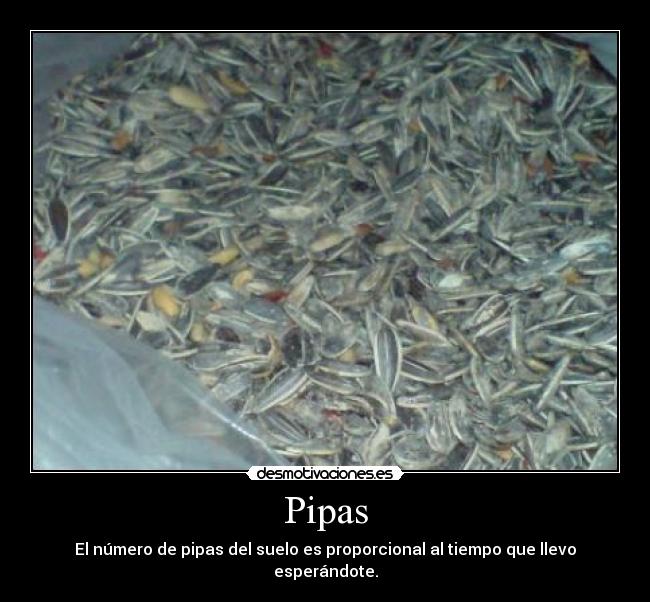 Pipas - 