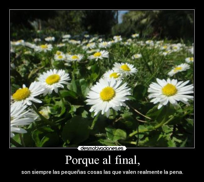 Porque al final, -