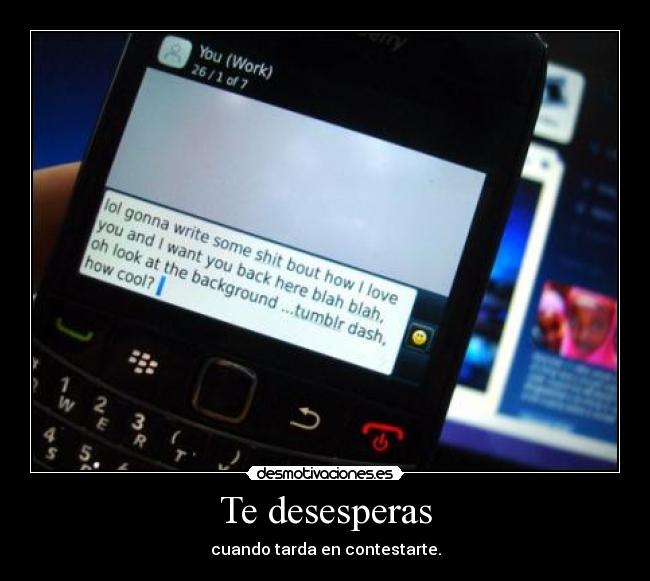 Te desesperas - cuando tarda en contestarte.