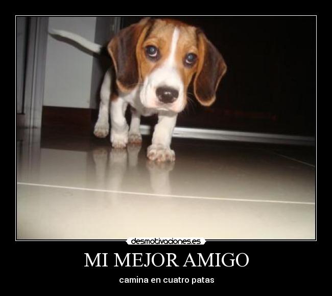 MI MEJOR AMIGO -
