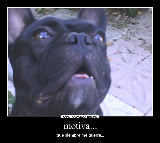 motiva... - que siempre me querrá...