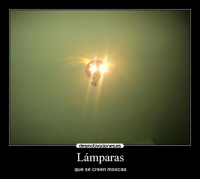 Lámparas - 