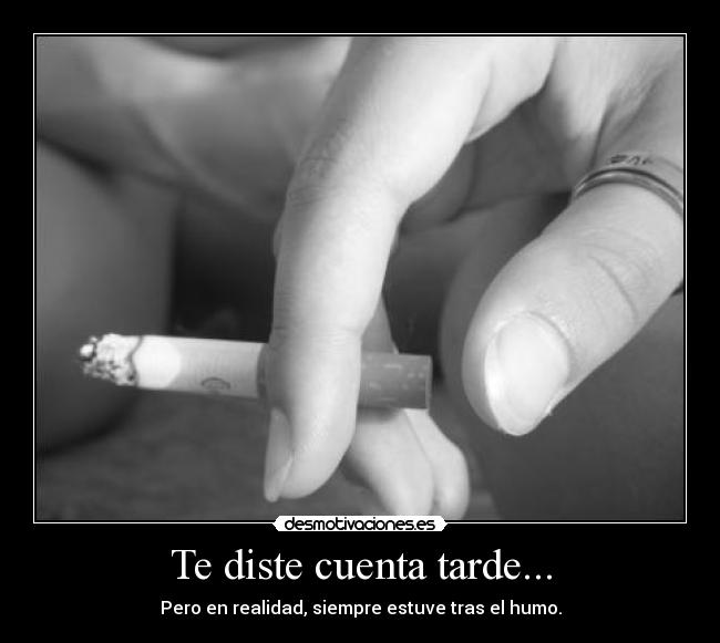 Te diste cuenta tarde... - Pero en realidad, siempre estuve tras el humo.