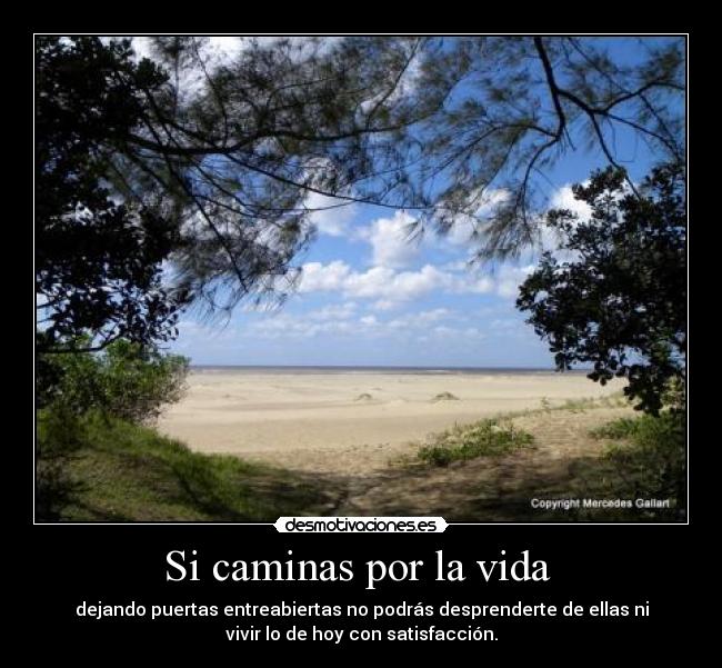 Si caminas por la vida -