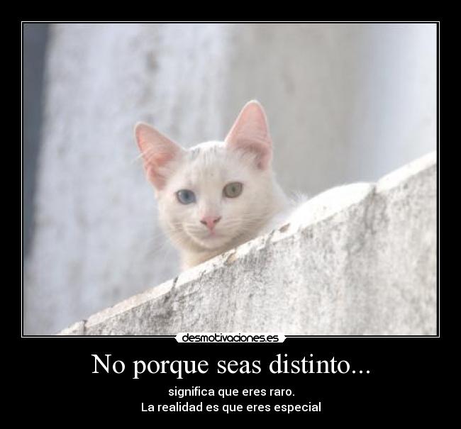 No porque seas distinto... - significa que eres raro.
La realidad es que eres especial