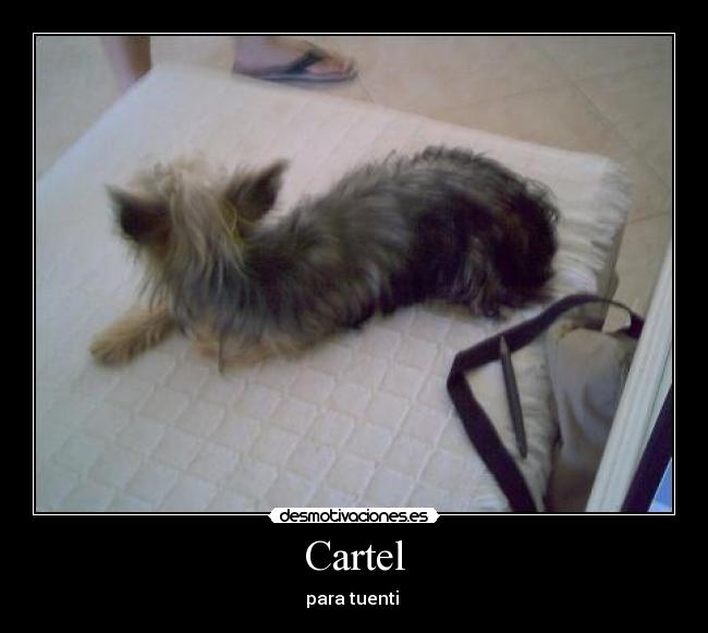 carteles desmotivaciones