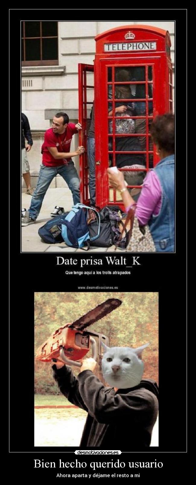 Bien hecho querido usuario - 