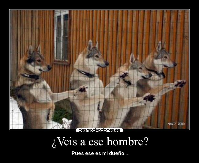 ¿Veis a ese hombre? - Pues ese es mi dueño...