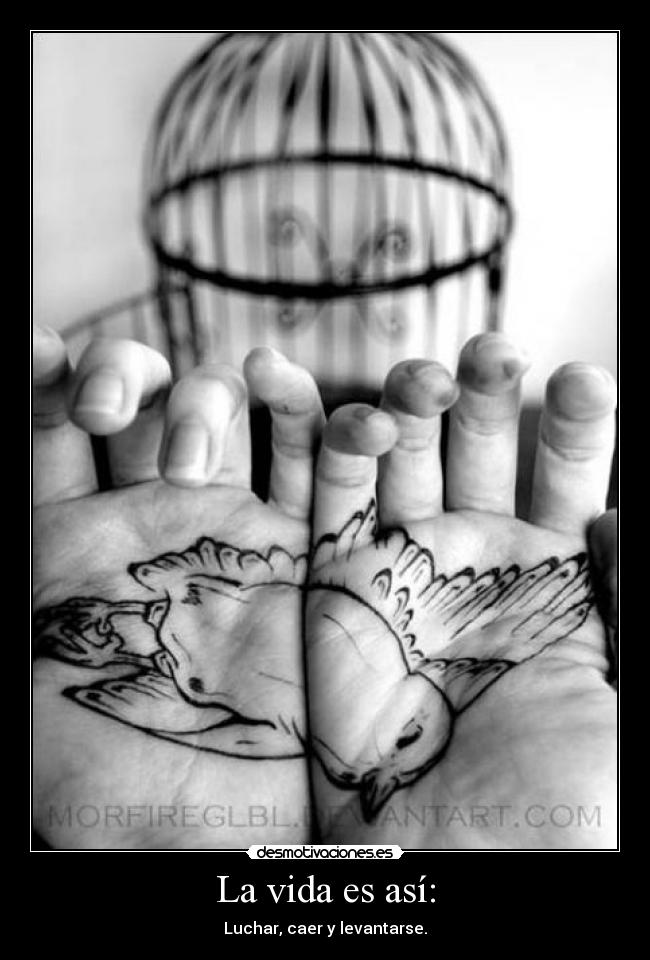 La vida es así: - Luchar, caer y levantarse.
