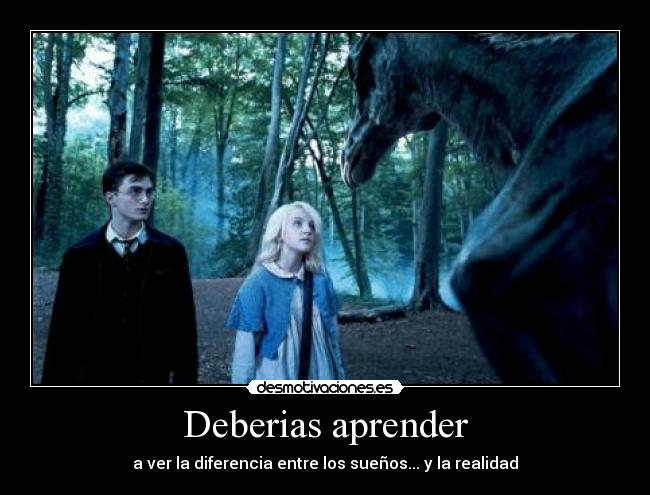 carteles harry potter desmotivaciones