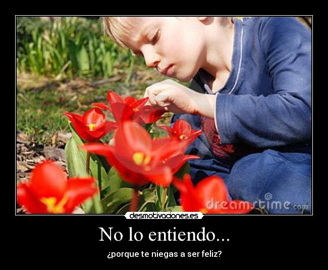 No lo entiendo... - 