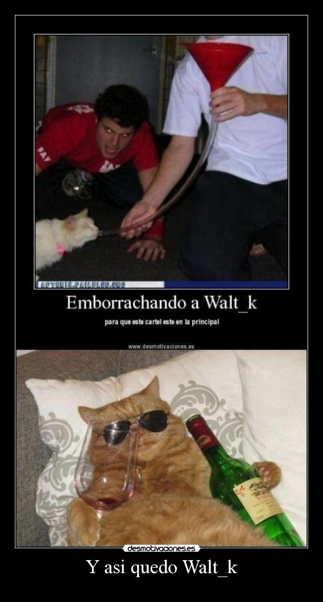 Y asi quedo Walt_k -