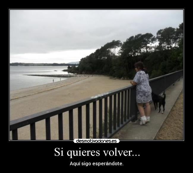 Si quieres volver... - Aquí sigo esperándote.