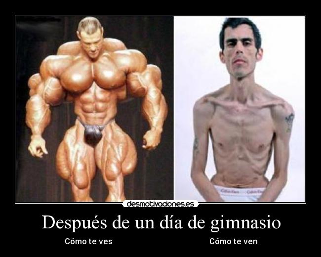 Después de un día de gimnasio - Cómo te ves ▋ Cómo te ven