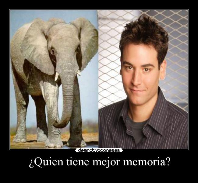 carteles ted mosby desmotivaciones