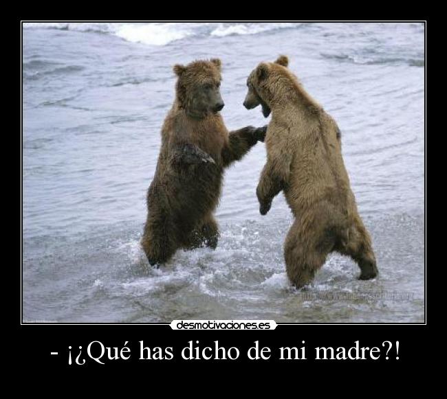 - ¡¿Qué has dicho de mi madre?! - 