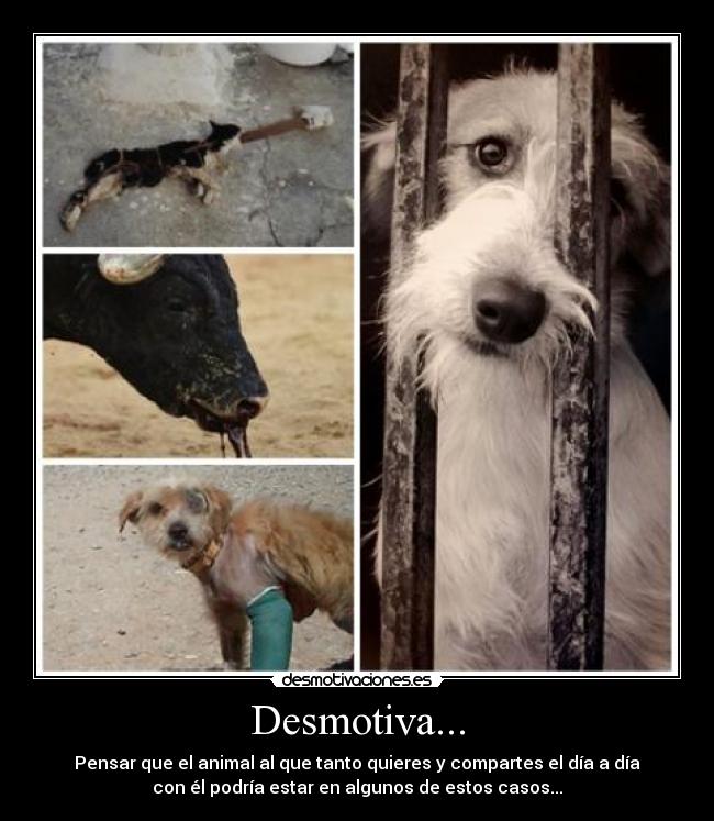 Desmotiva... -