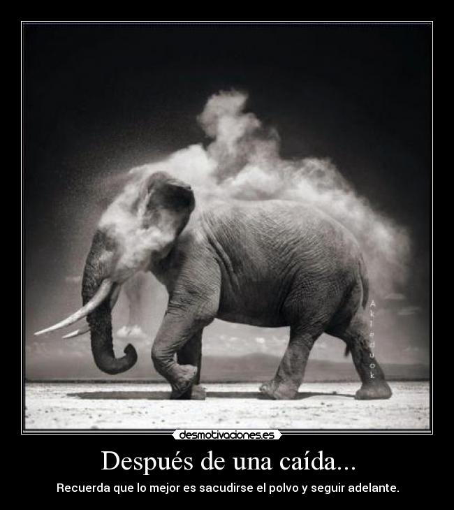 Después de una caída... -