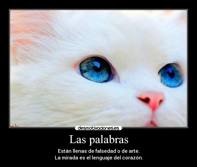 Las palabras - Están llenas de falsedad o de arte.
La mirada es el lenguaje del corazón.