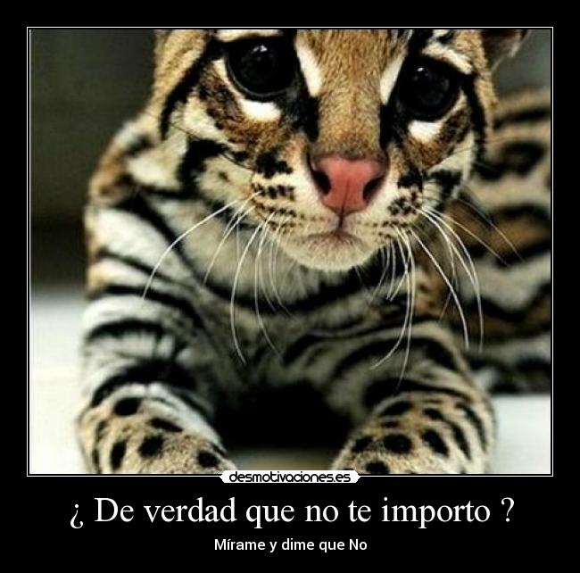 ¿ De verdad que no te importo ? -