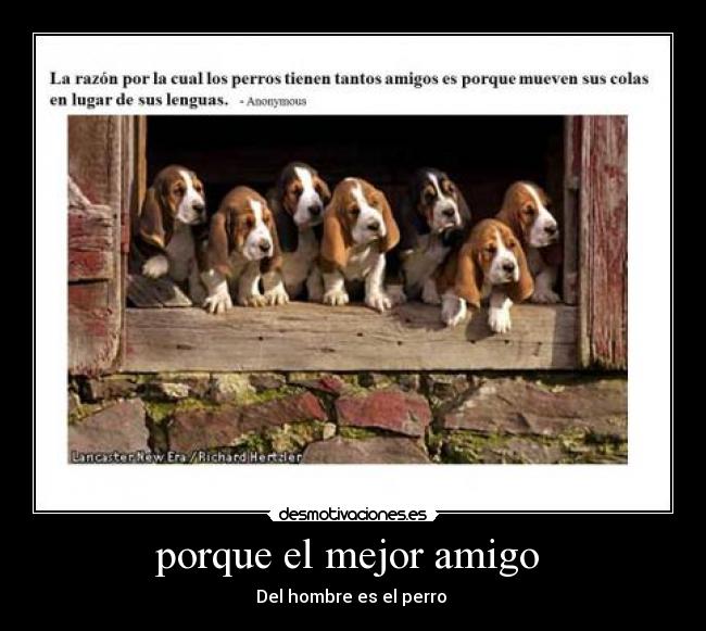 porque el mejor amigo -