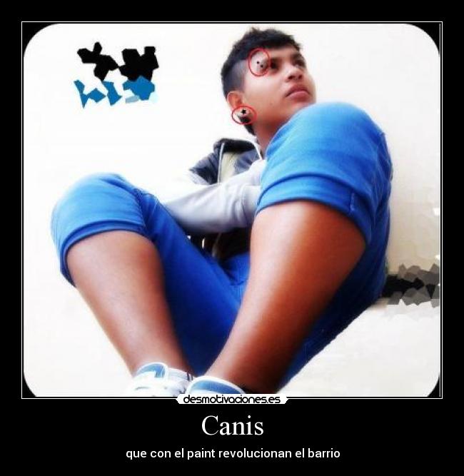 Canis -