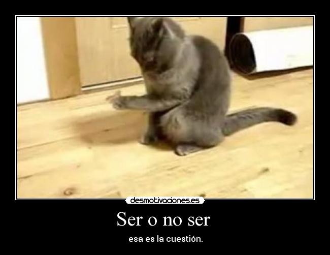 Ser o no ser  - 