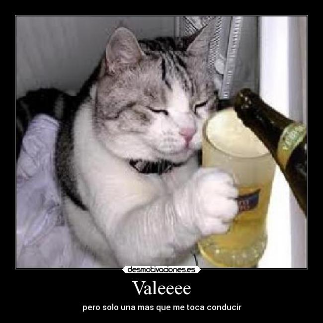 Valeeee - pero solo una mas que me toca conducir