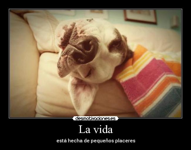 La vida - está hecha de pequeños placeres
