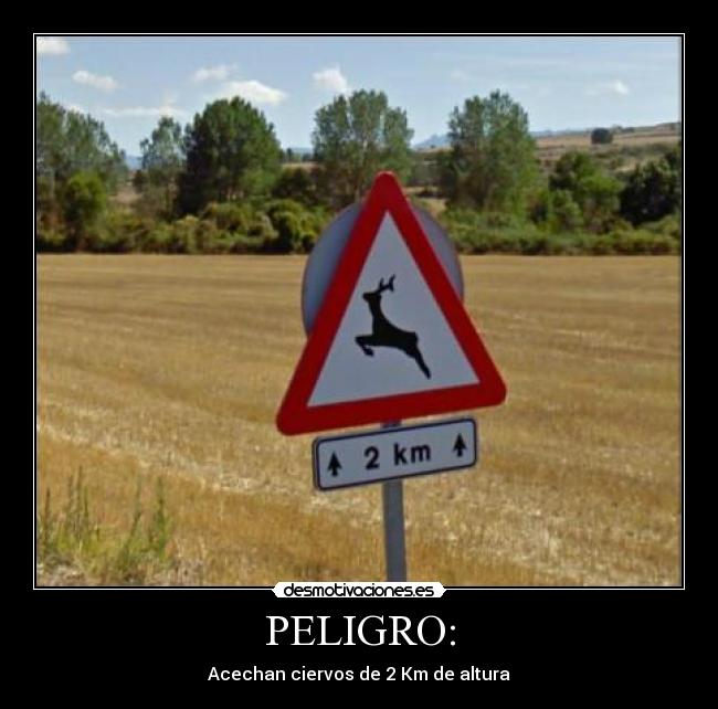 PELIGRO: - Acechan ciervos de 2 Km de altura